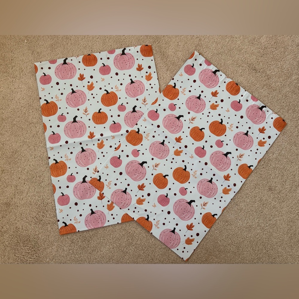 Pumpkin Polymailers - set of 20